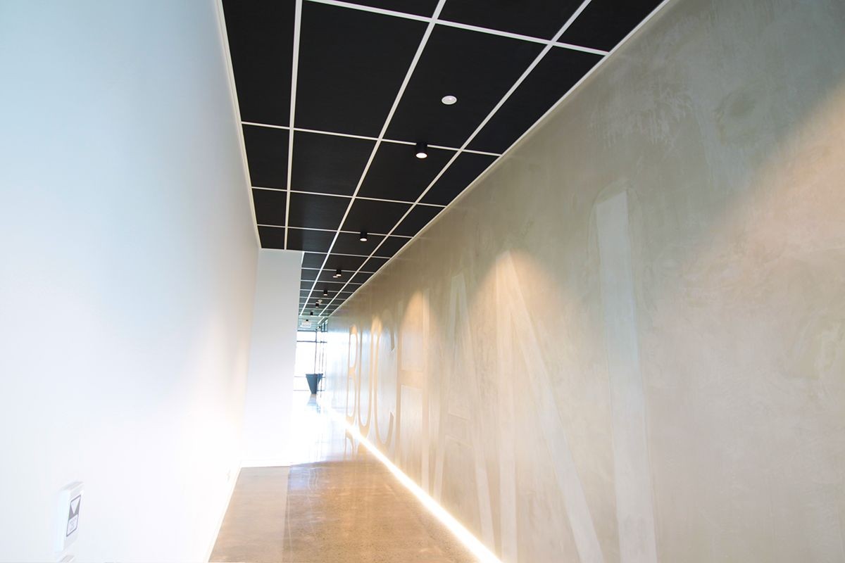 Black Phonic acoustic ceiling tiles in a white suspended grid above a hallway, Buchan Group office fit-out